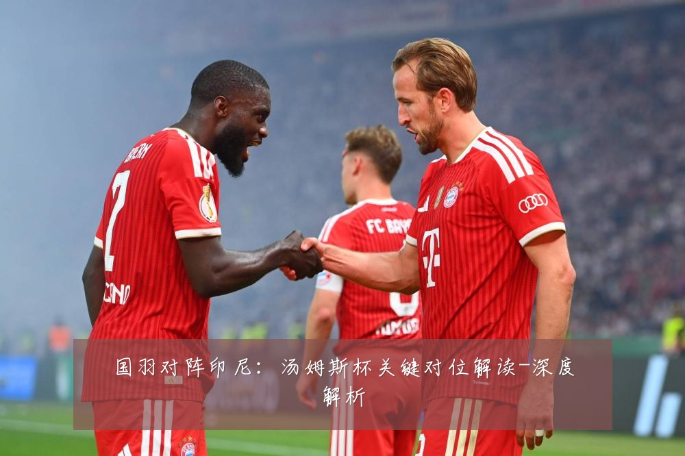 国羽对阵印尼：汤姆斯杯关键对位解读-深度解析